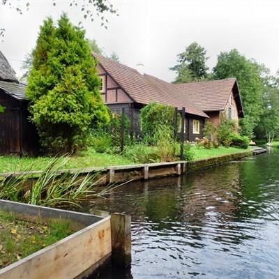 超级小猪打排球